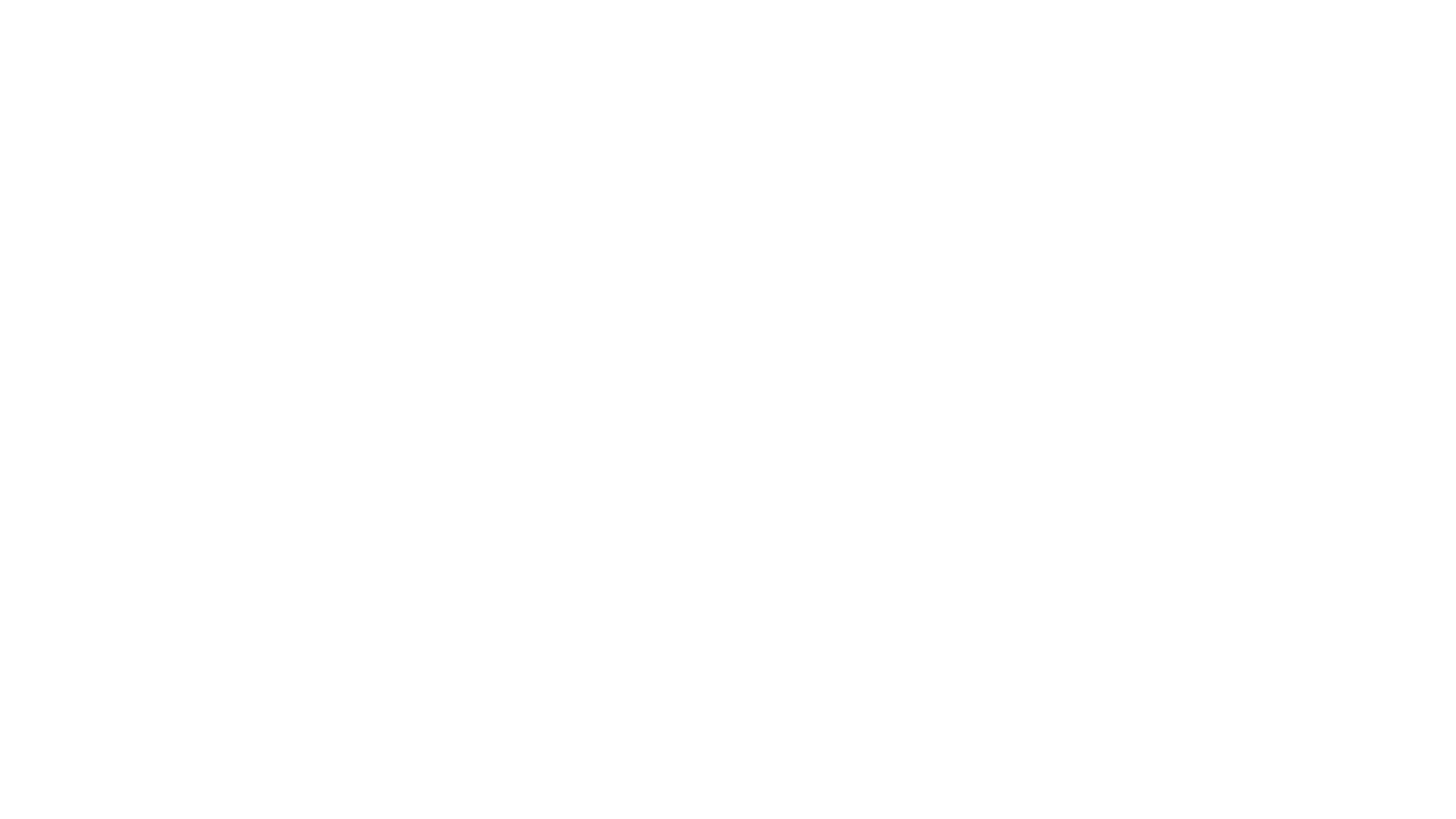 Caiman Logo
