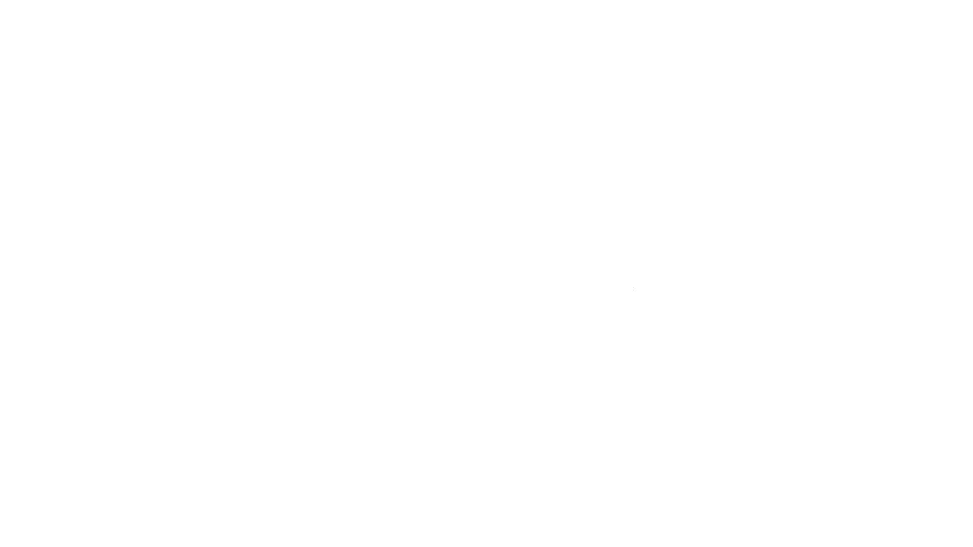 Werner Logo